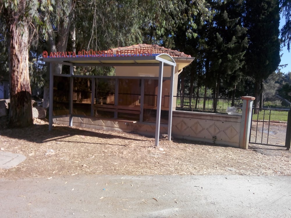 Topallı İlkokulu Fotoğrafları 2