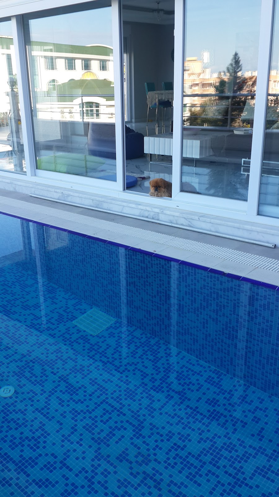 Özel Alanya Doğa Koleji Anaokulu Fotoğrafları 1