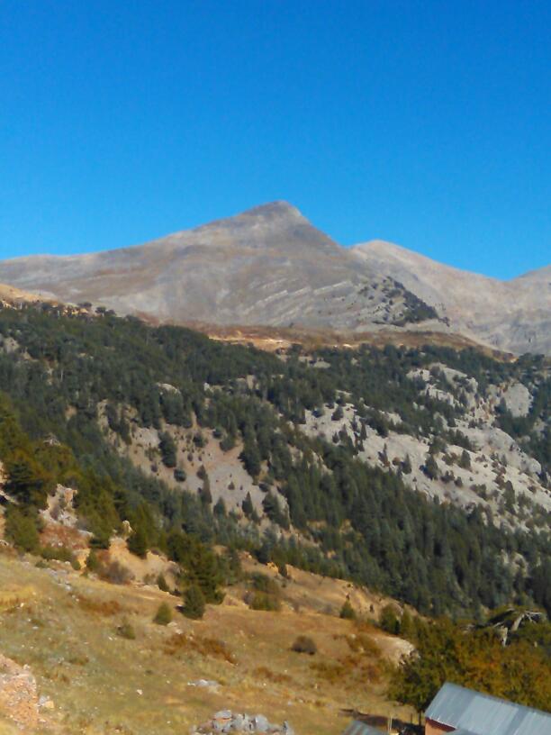 Cikcilli Mehmet Emine Öncü İlkokulu Fotoğrafları 3