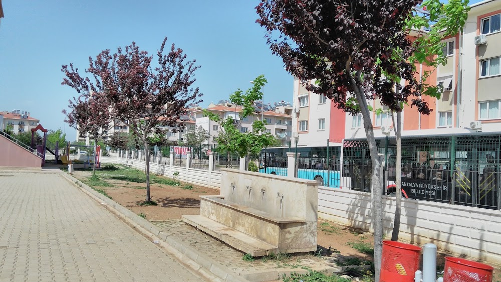 Çıplaklı Ortaokulu Fotoğrafları 3