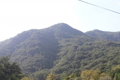 Dimçayı Ortaokulu fotoğraf 6