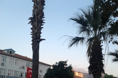 Hacıkadiroğlu Ortaokulu fotoğraf 5