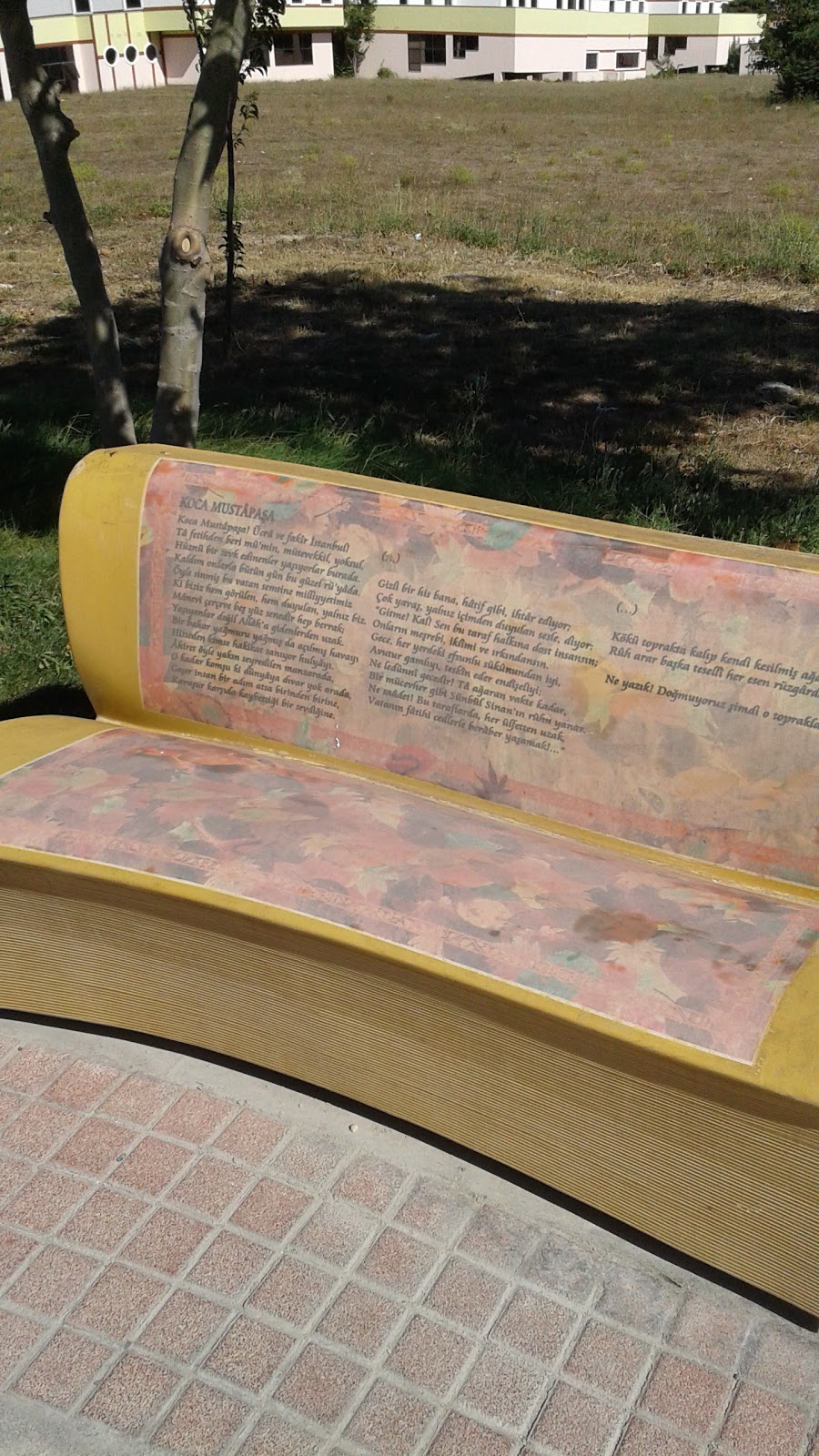 Hasan Çolak Anadolu Lisesi Fotoğrafları 2