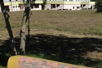 Hasan Çolak Anadolu Lisesi fotoğraf 2