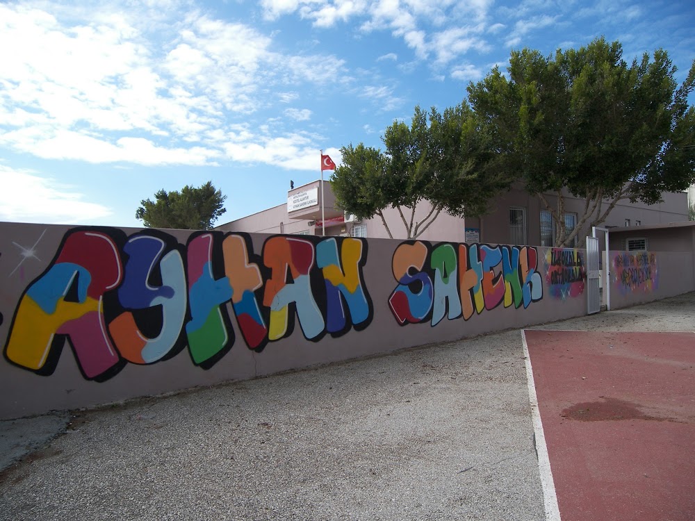 Kestel Alantur Ayhan Şahenk İlkokulu Fotoğrafları 2