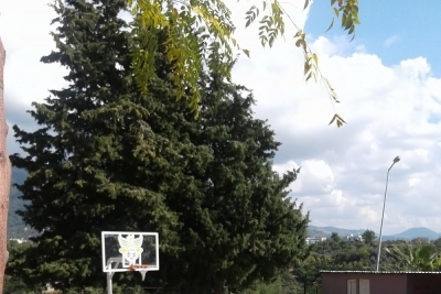 Kestel Alantur Ayhan Şahenk İlkokulu fotoğraf 3