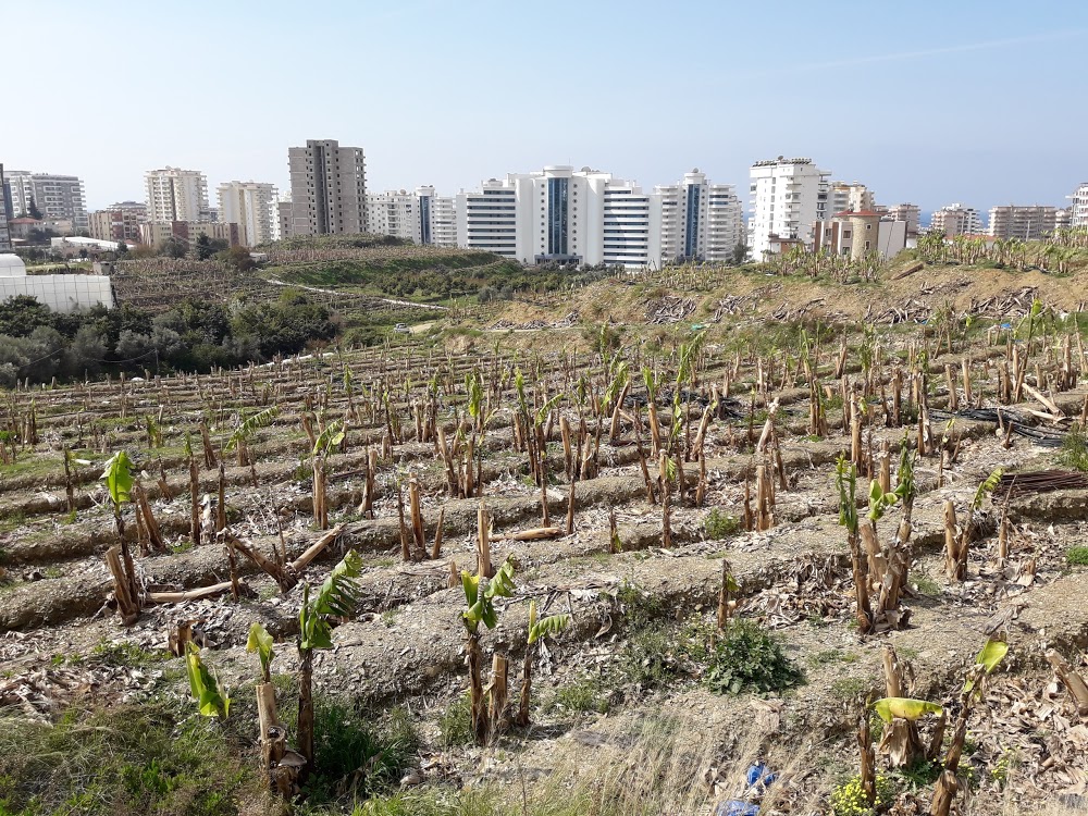 Mahmutlar Selçuklu Ortaokulu Fotoğrafları 2