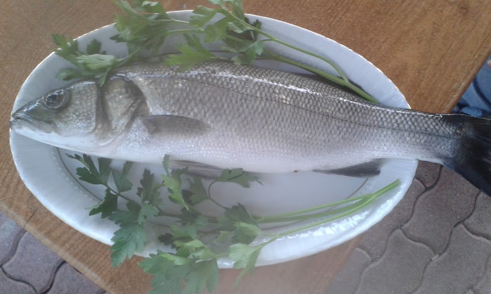 Beymelek İlkokulu Fotoğrafları 1