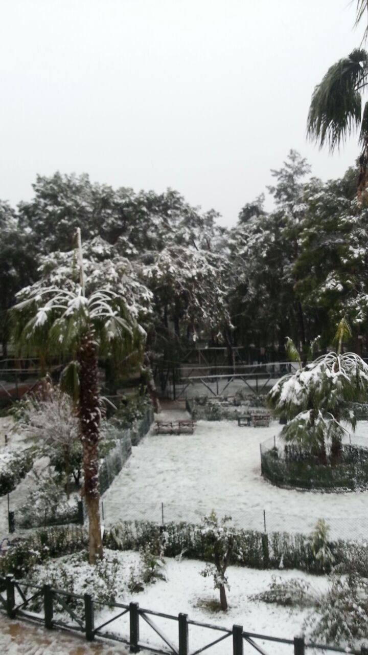 Özel Manavgat Bahçeşehir Koleji Ortaokulu Fotoğrafları 3