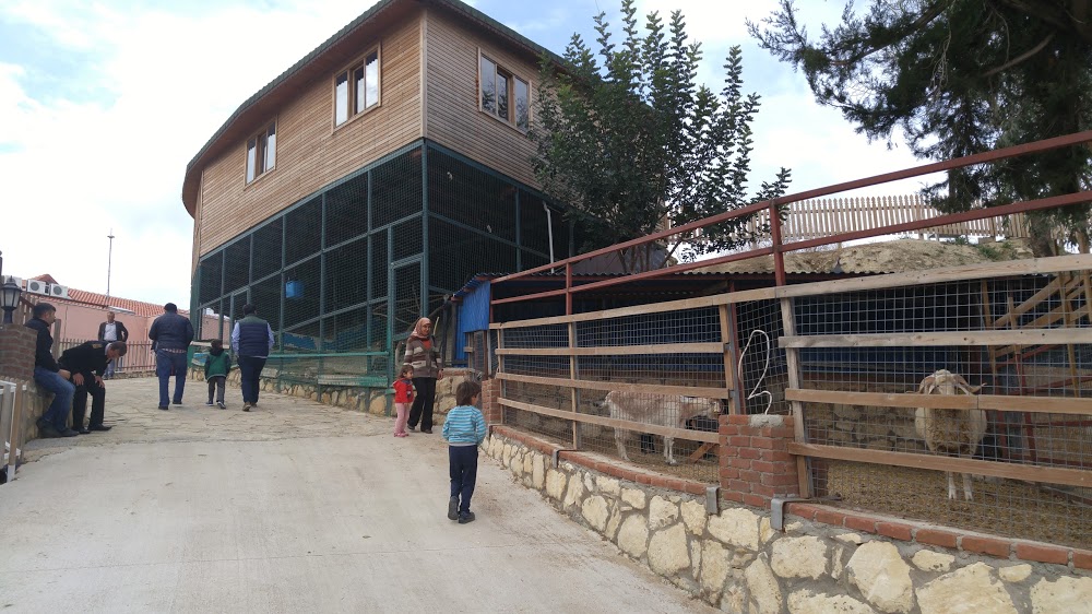 Özel Manavgat Bahçeşehir Koleji Ortaokulu Fotoğrafları 8