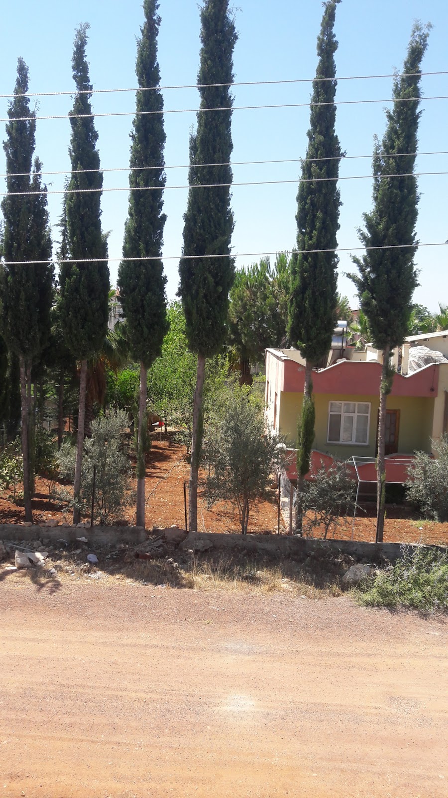 Hilmi Caner Saraçoğlu Ortaokulu Fotoğrafları 1