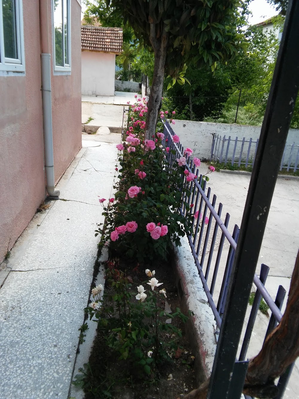 Girne İlkokulu Fotoğrafları 1