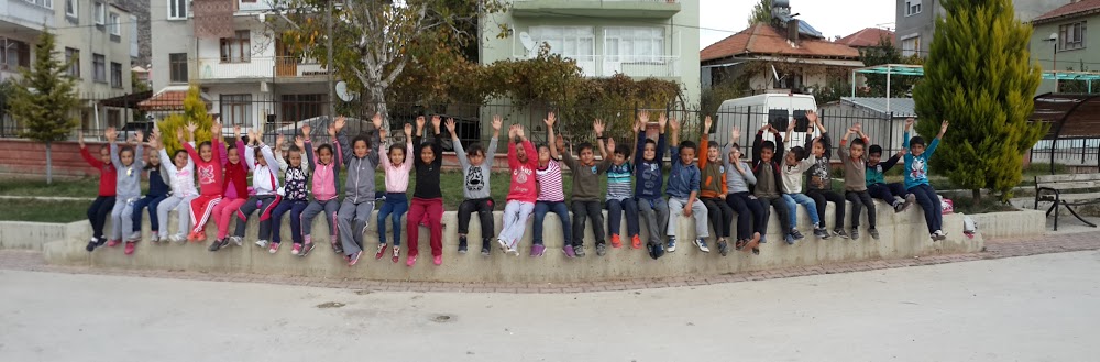 Mehmet Topçu İlkokulu Fotoğrafları 1