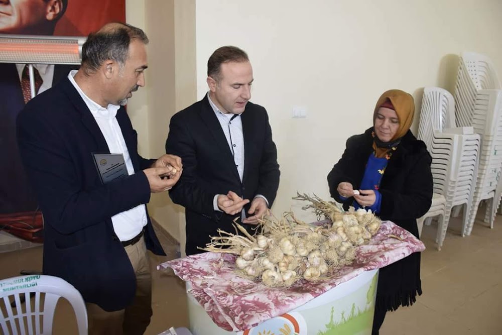 Elmalı Özdemir İlkokulu Fotoğrafları 4