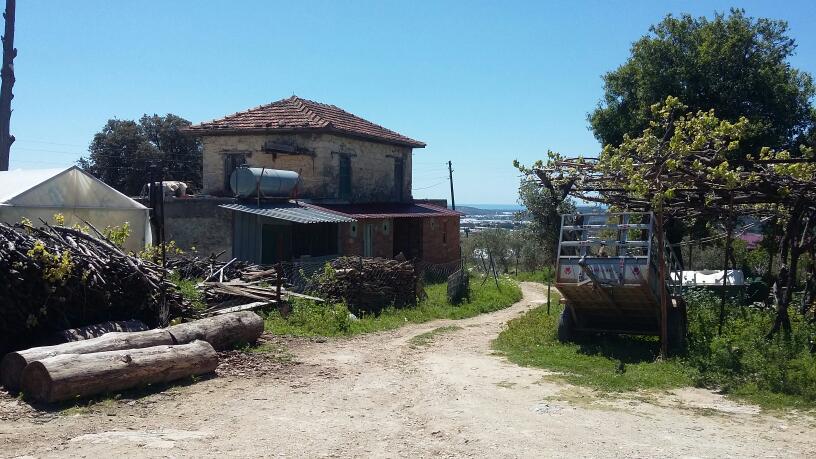 Finike Çavdır İlkokulu Fotoğrafları 1