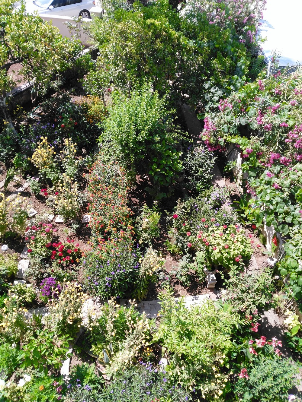 Finike Anadolu Lisesi Fotoğrafları 3