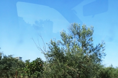 Gazipaşa Karatepe Ortaokulu fotoğraf 8
