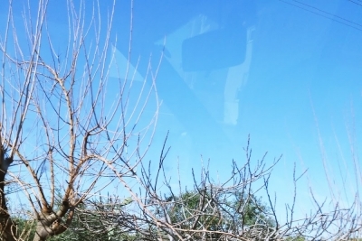 Gazipaşa Karatepe Ortaokulu fotoğraf 10