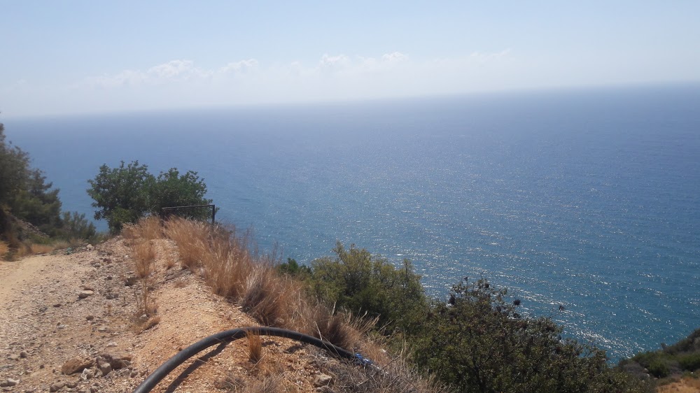 Yakacık Mehmet Oğuz Galadran Ortaokulu Fotoğrafları 3