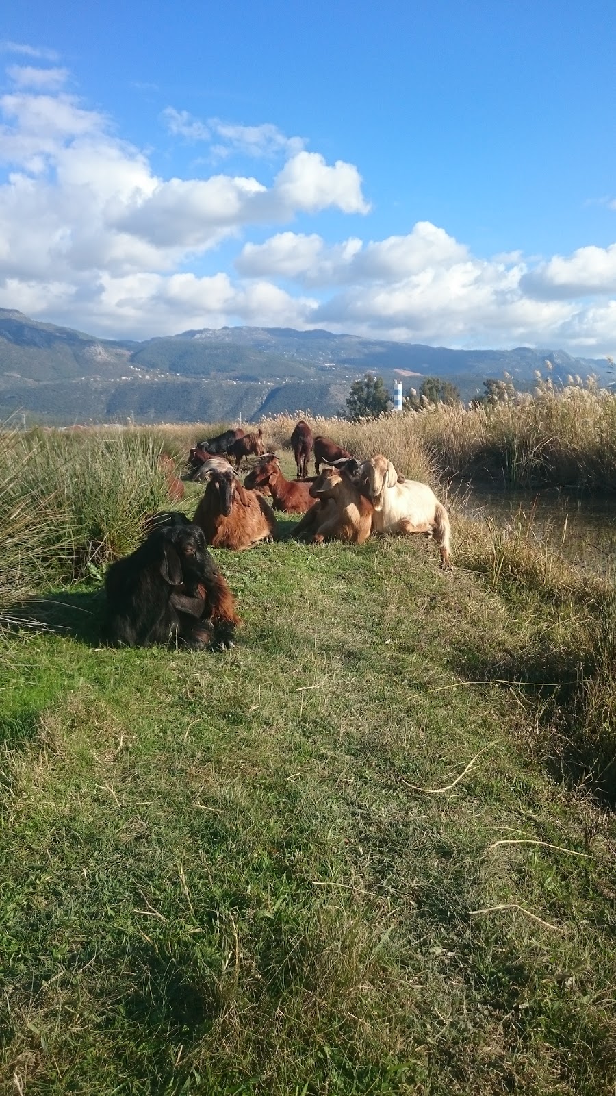 Kaş Anadolu İmam Hatip Lisesi Fotoğrafları 2