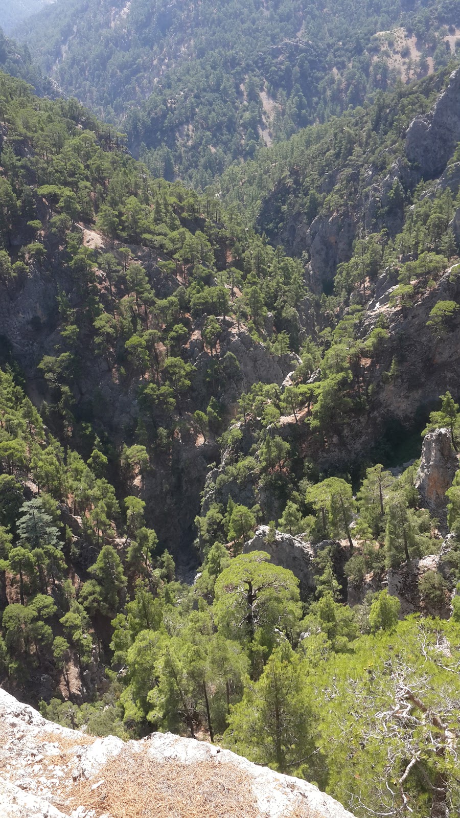 Sütleğen İlkokulu Fotoğrafları 1