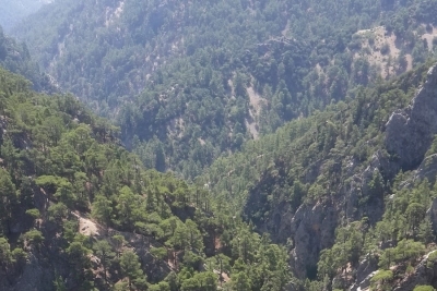 Sütleğen İlkokulu fotoğraf 1