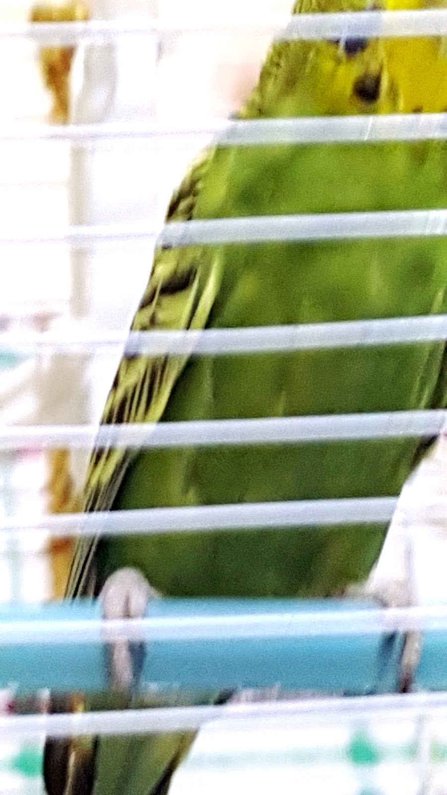 Demirgül Ortaokulu Fotoğrafları 2