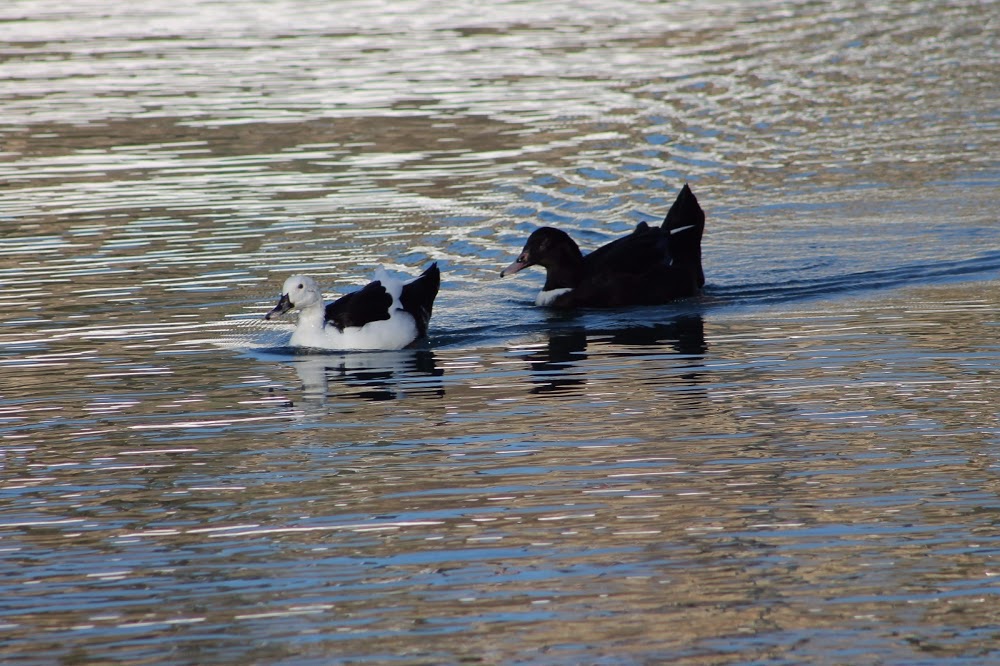 Demirgül Ortaokulu Fotoğrafları 1