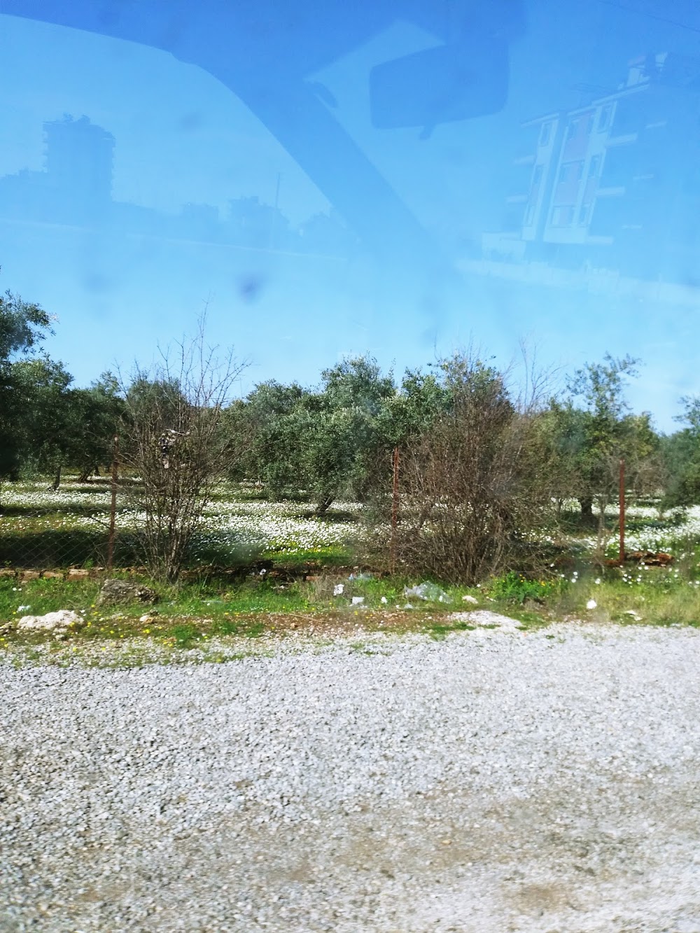 İsmail İltemir İlkokulu Fotoğrafları 7