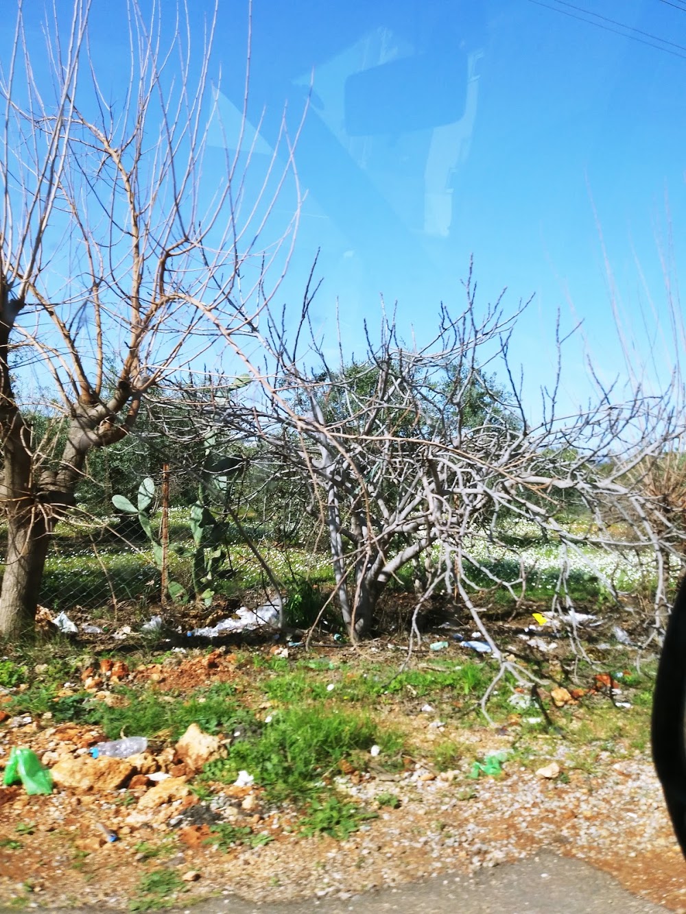 İsmail İltemir İlkokulu Fotoğrafları 6