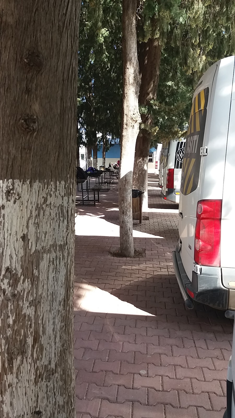 Habibler İmam Hatip Ortaokulu Fotoğrafları 8