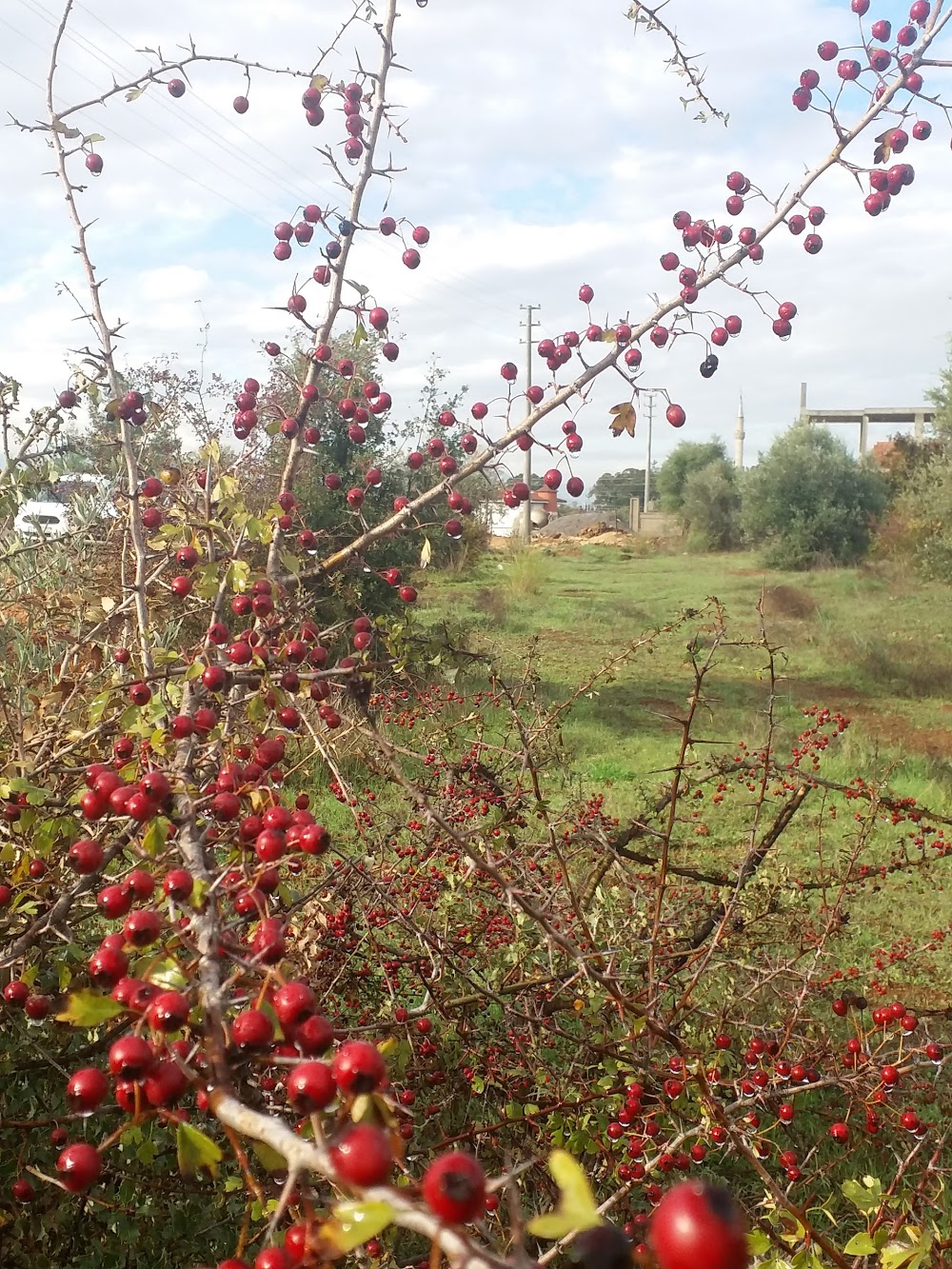 Kirişçiler İlkokulu Fotoğrafları 2