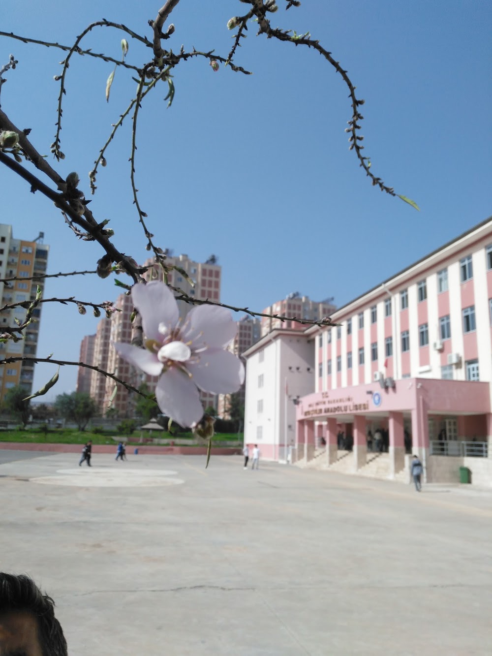 Metin Çiviler Anadolu Lisesi Fotoğrafları 1