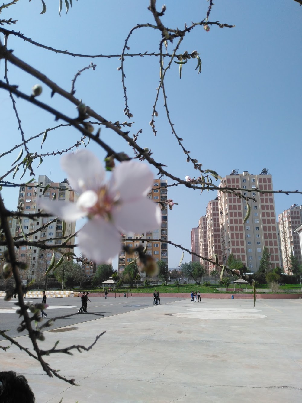 Metin Çiviler Anadolu Lisesi Fotoğrafları 2