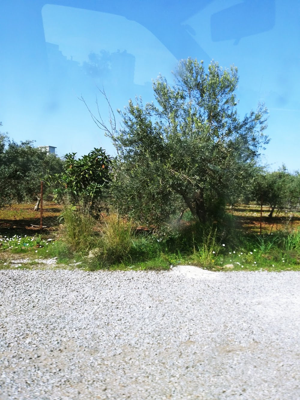 Varsak İlkokulu Fotoğrafları 6