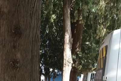 Altınova Esen İmam Hatip Ortaokulu fotoğraf 11