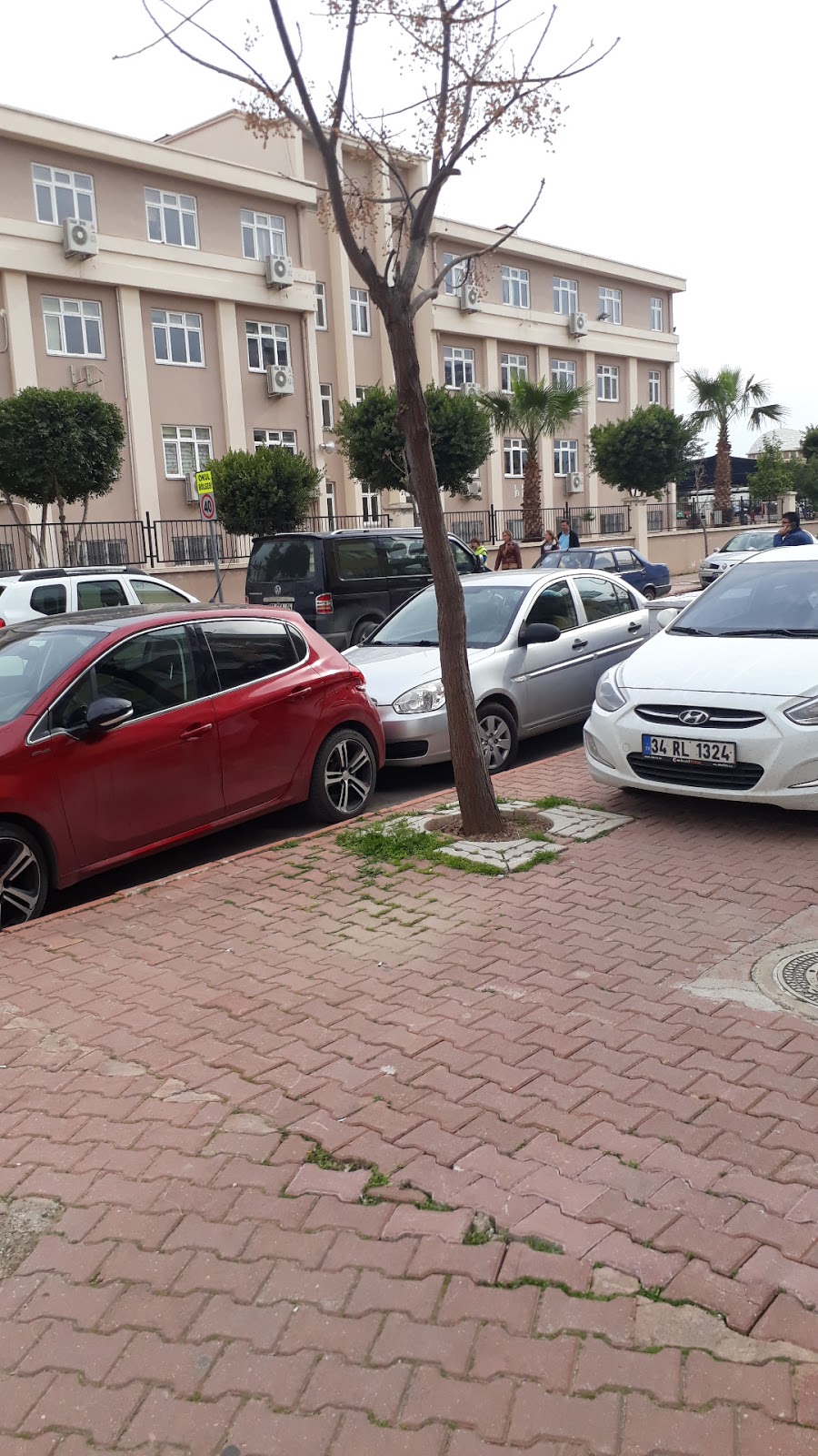 Abdurrahman Neriman Bileydi İlkokulu Fotoğrafları 3