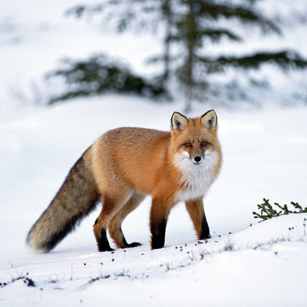 Dr.cahit Ünver İlkokulu Fotoğrafları 1