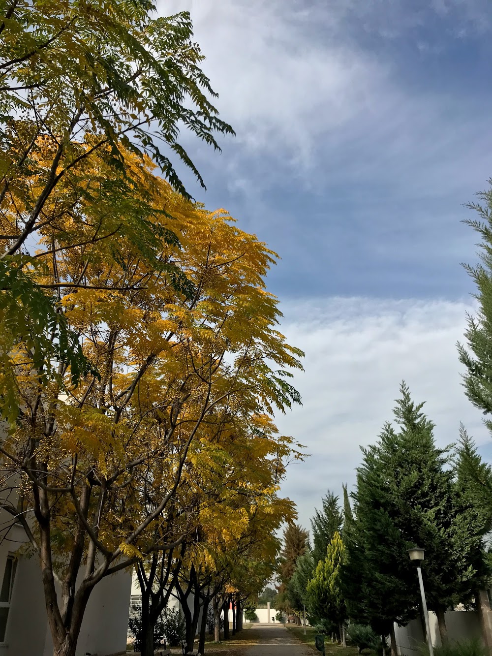 Fettah Tamince Mesleki Ve Teknik Anadolu Lisesi Fotoğrafları 4