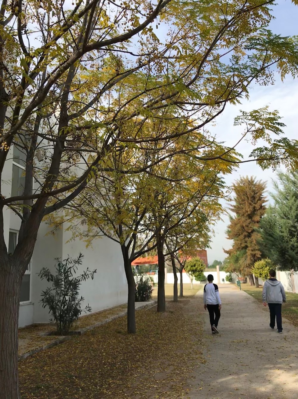 Fettah Tamince Mesleki Ve Teknik Anadolu Lisesi Fotoğrafları 3