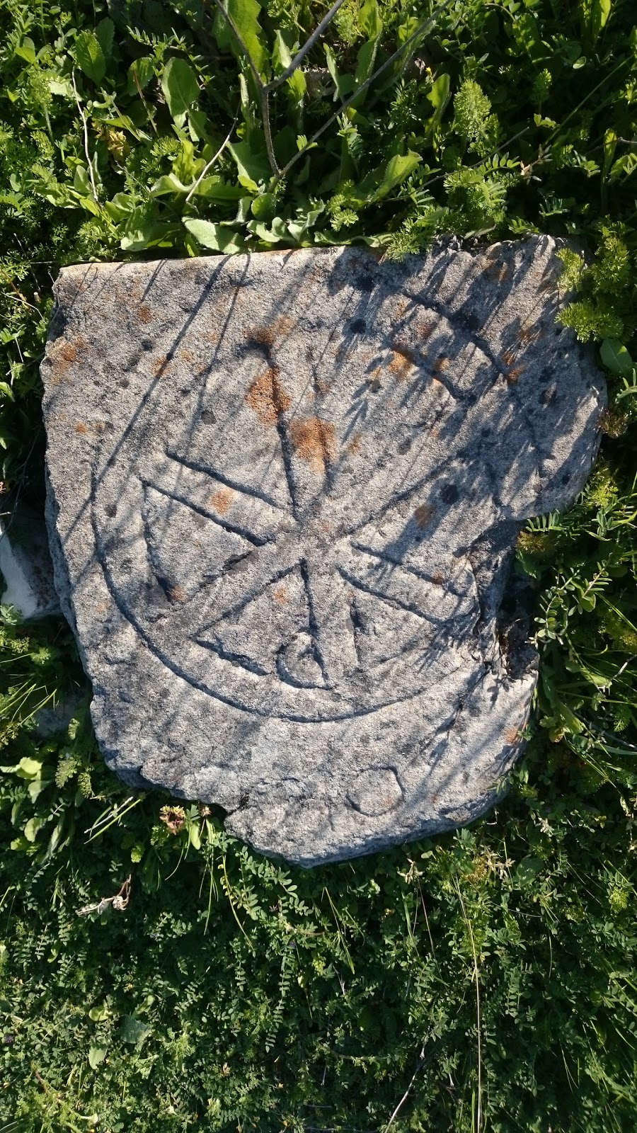 Çardak Şehit Piyade Uzman Çavuş Mustafa Uysal İlkokulu Fotoğrafları 2