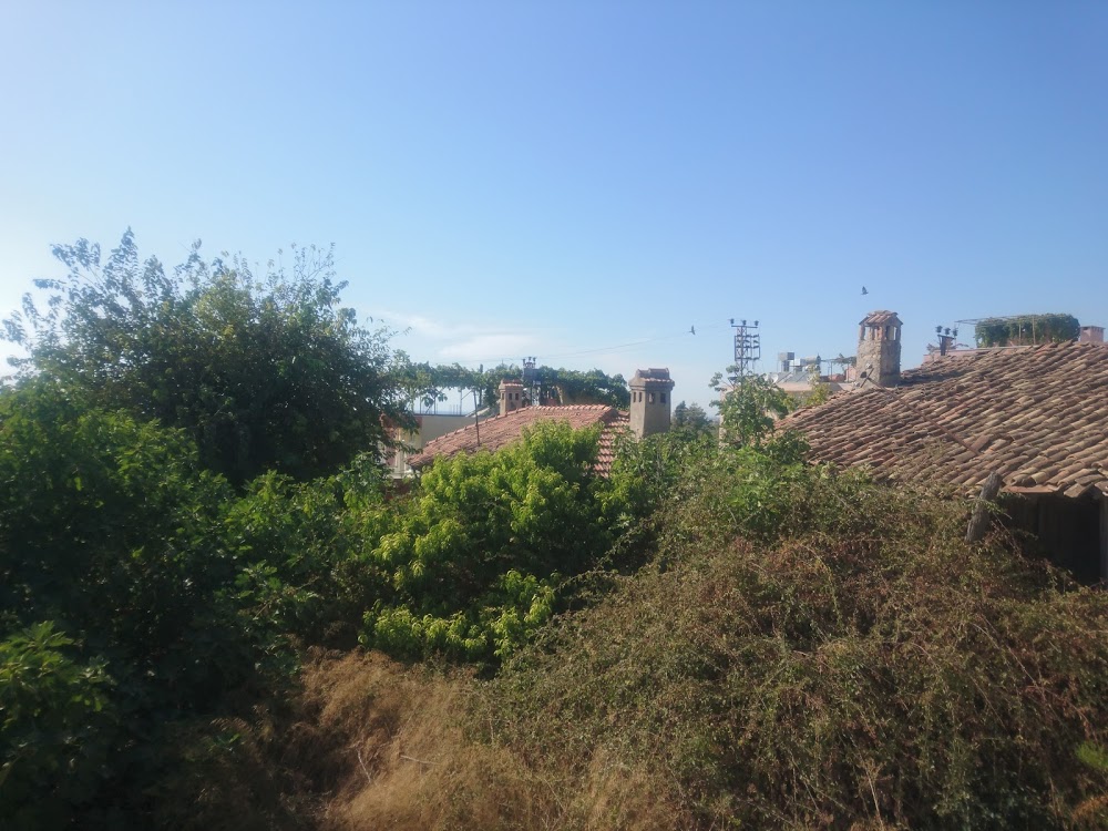 Cenger İlkokulu Fotoğrafları 4