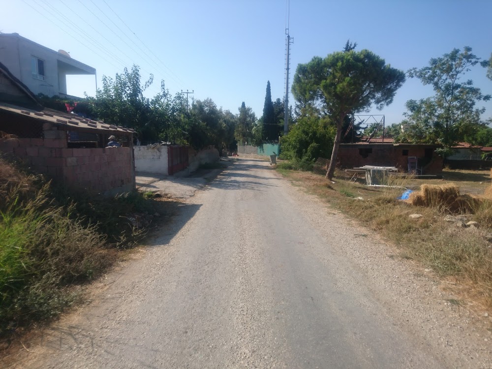 Cenger İlkokulu Fotoğrafları 2