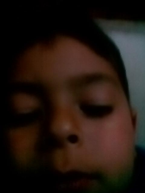 Manavgat Evliya Çelebi Mesleki Ve Teknik Anadolu Lisesi Fotoğrafları 1