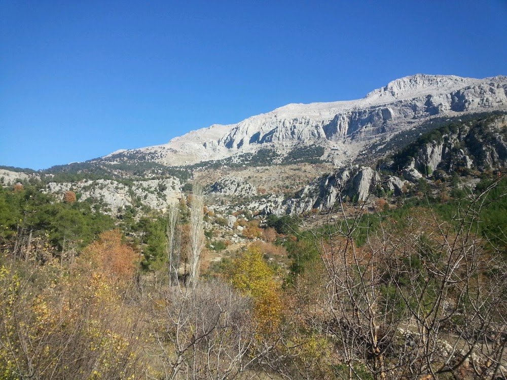 Yeşilbağ Cumhuriyet Ortaokulu Fotoğrafları 1