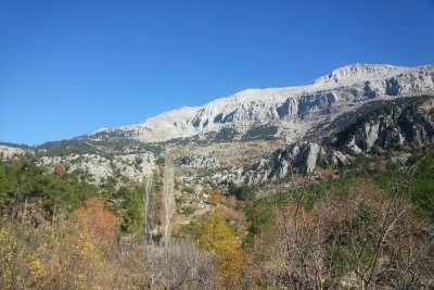 Yeşilbağ Cumhuriyet Ortaokulu fotoğraf 1