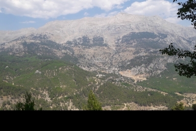 Yeşilbağ Cumhuriyet Ortaokulu fotoğraf 2