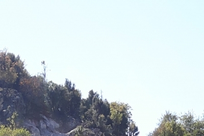 Yeşilbağ Cumhuriyet Ortaokulu fotoğraf 4