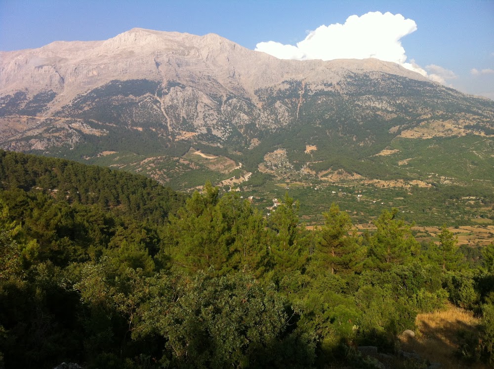 Yeşilbağ Cumhuriyet İlkokulu Fotoğrafları 2