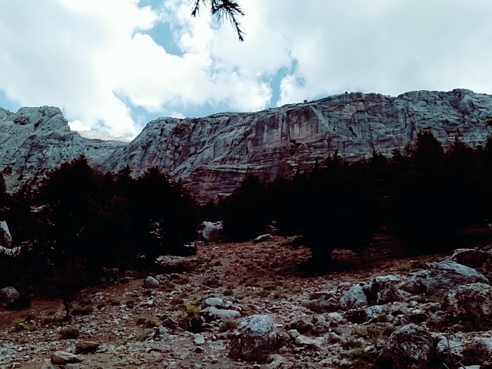 Yeşilbağ Cumhuriyet Ortaokulu Fotoğrafları 3